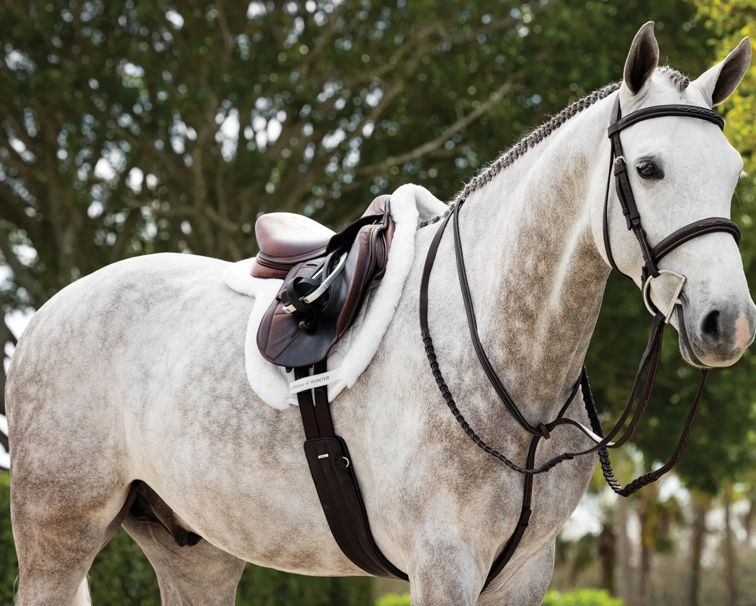 HORSE HEALTH TRADE LeMieux® Merino+ ProSorb Hunter Saddle Pad White/White
