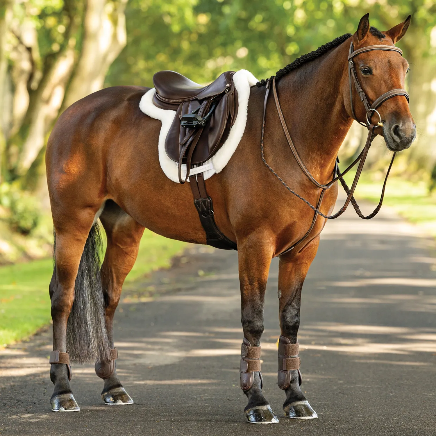 HORSE HEALTH TRADE LeMieux® Merino+ ProSorb Hunter Saddle Pad White/White