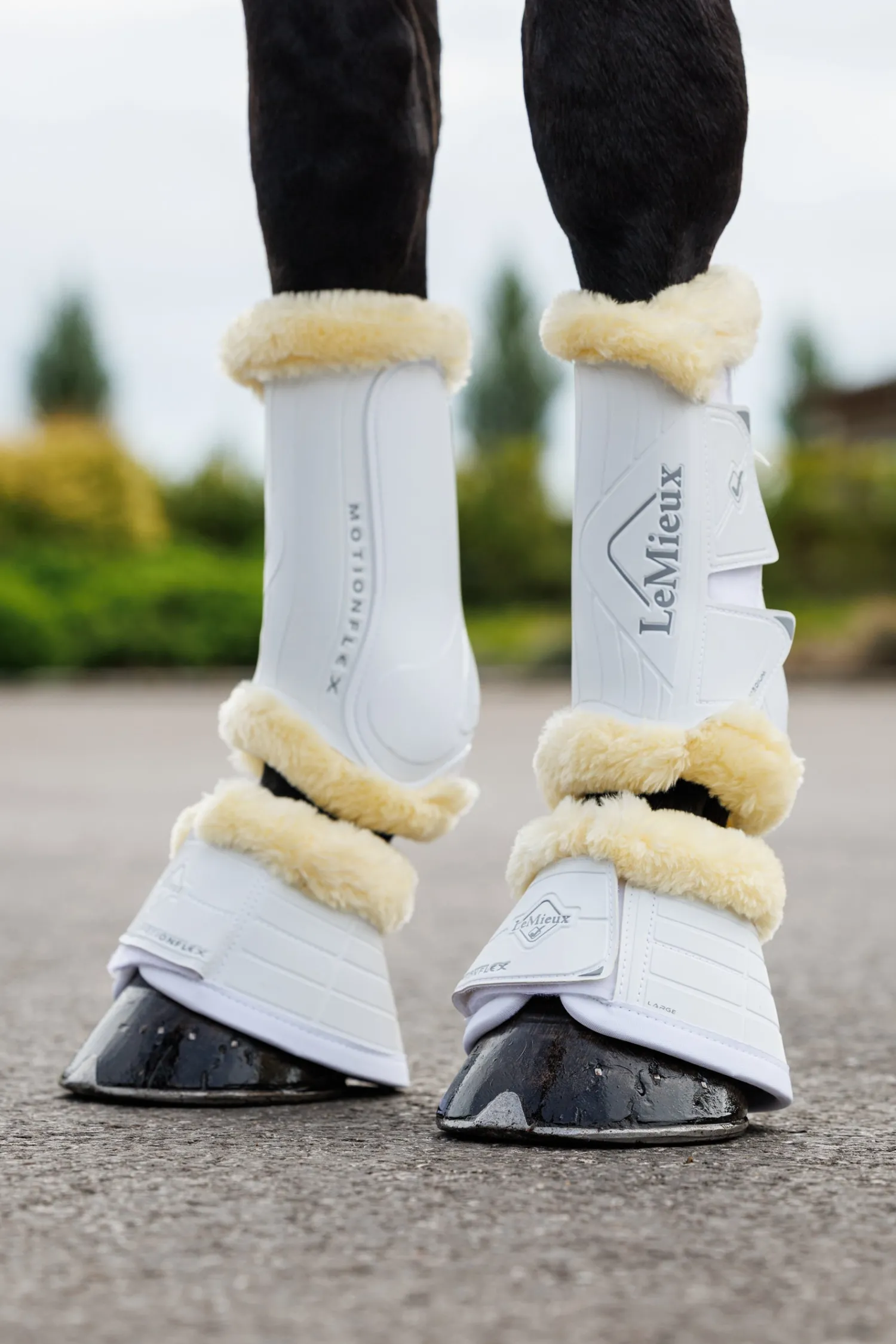Online HORSE HEALTH TRADE LeMieux® Motionflex Overreach Boots with Simuwool
