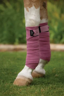 Outlet HORSE HEALTH TRADE LeMieux® Polo Wraps