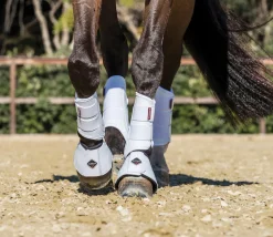Hot HORSE HEALTH TRADE LeMieux® ProShell Brushing Boots