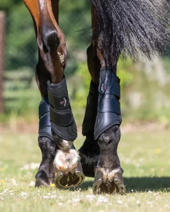 Hot HORSE HEALTH TRADE LeMieux® ProShell Brushing Boots