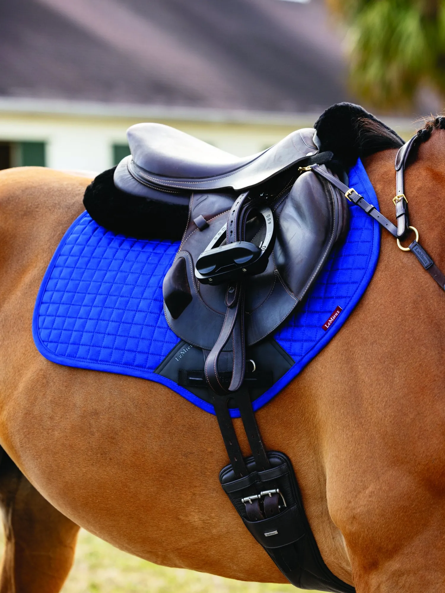 Hot HORSE HEALTH TRADE LeMieux® Suede Close Contact Saddle Pad