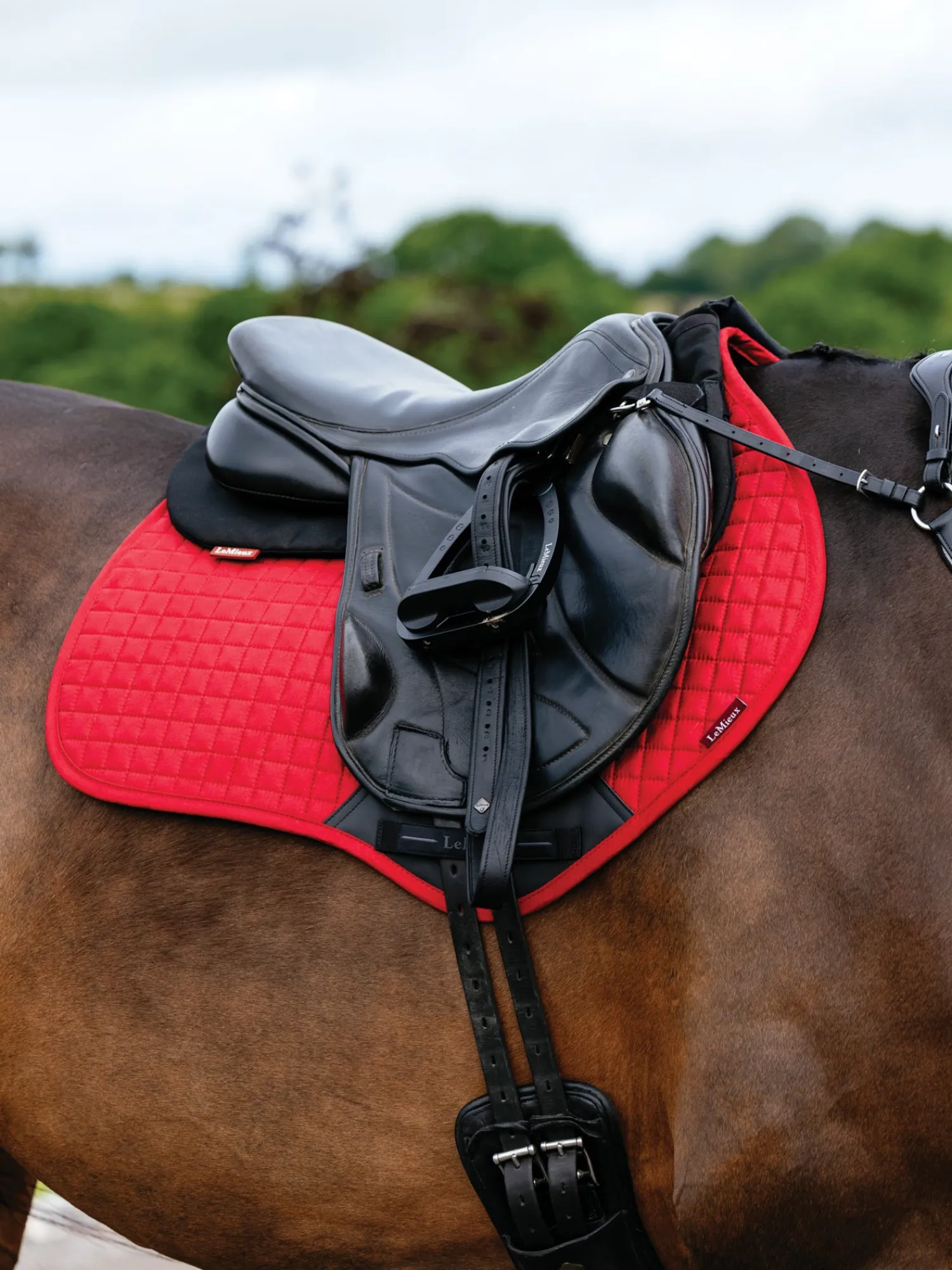 Hot HORSE HEALTH TRADE LeMieux® Suede Close Contact Saddle Pad