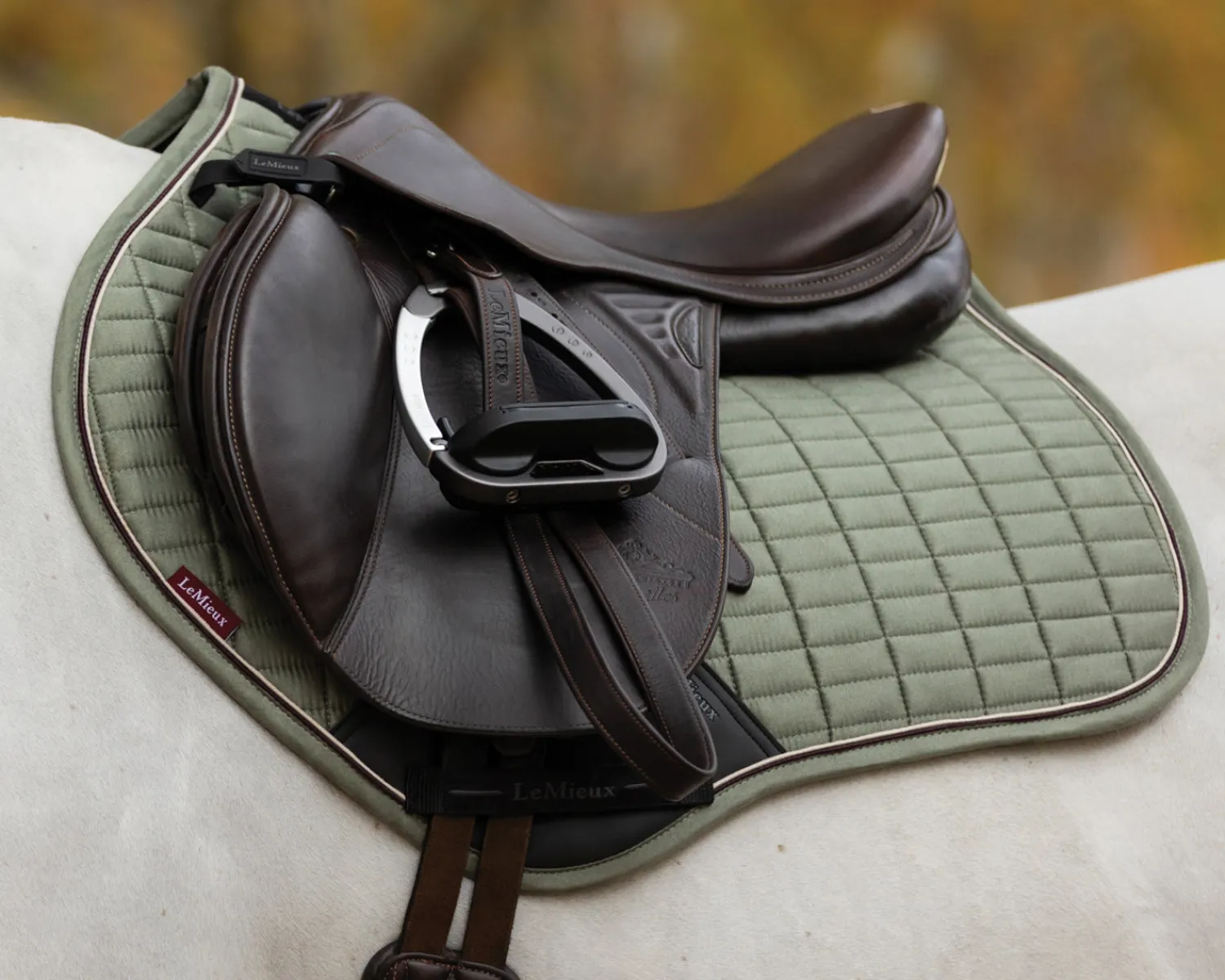 HORSE HEALTH TRADE LeMieux® Suede Close Contact Saddle Pad