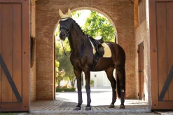 Sale HORSE HEALTH TRADE LeMieux®  Suede Dressage Pad