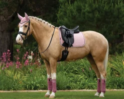Sale HORSE HEALTH TRADE LeMieux®  Suede Dressage Pad