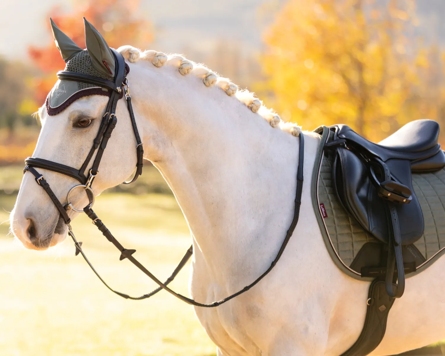 Best HORSE HEALTH TRADE Lemieux® Suede General Purpose Saddle Pad