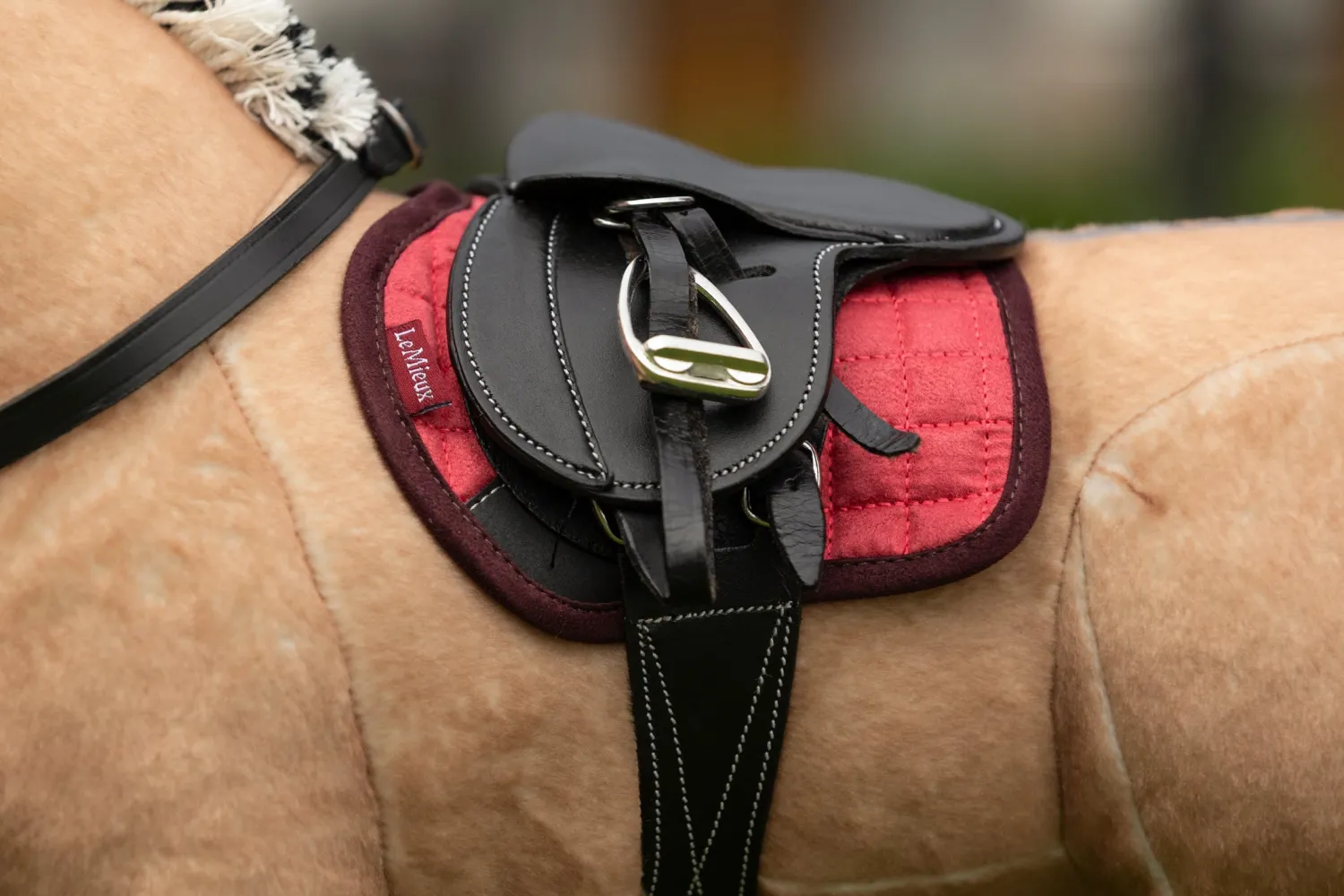 Sale HORSE HEALTH TRADE LeMieux® Toy Pony Saddle Pad