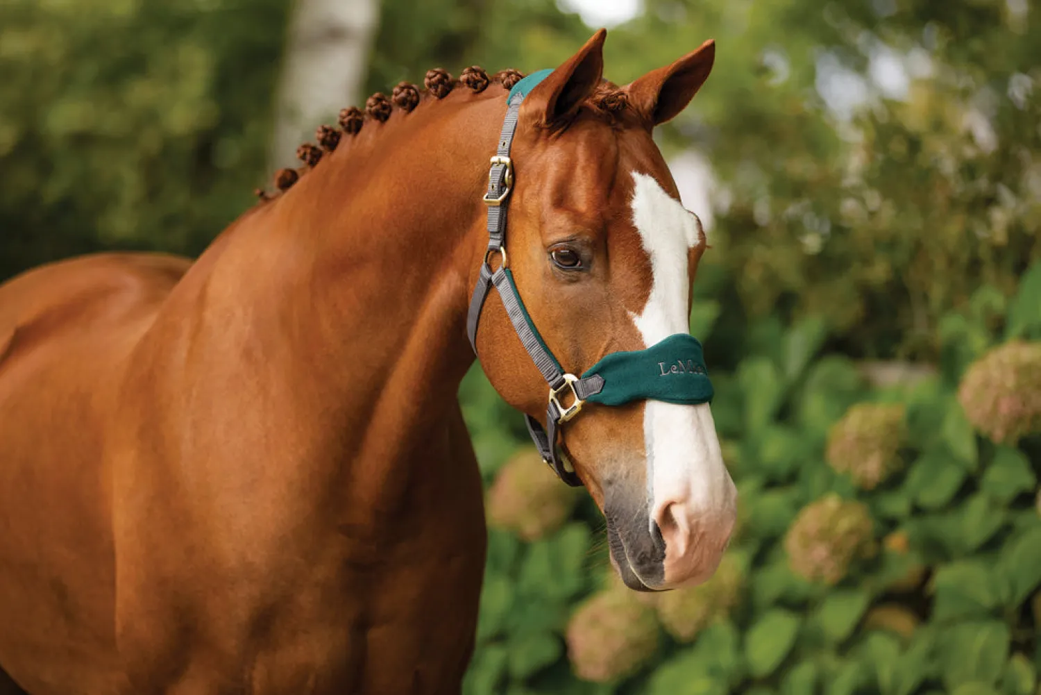 Discount HORSE HEALTH TRADE LeMieux® Vogue Halter & Lead Rope Set