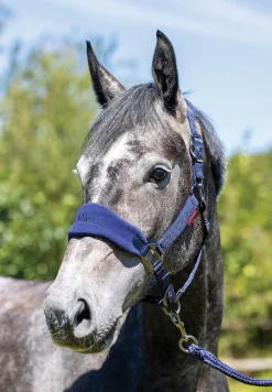 New HORSE HEALTH TRADE LeMieux® Vogue Halter & Rope Lead Set