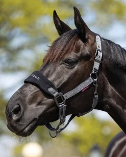 New HORSE HEALTH TRADE LeMieux® Vogue Halter & Rope Lead Set