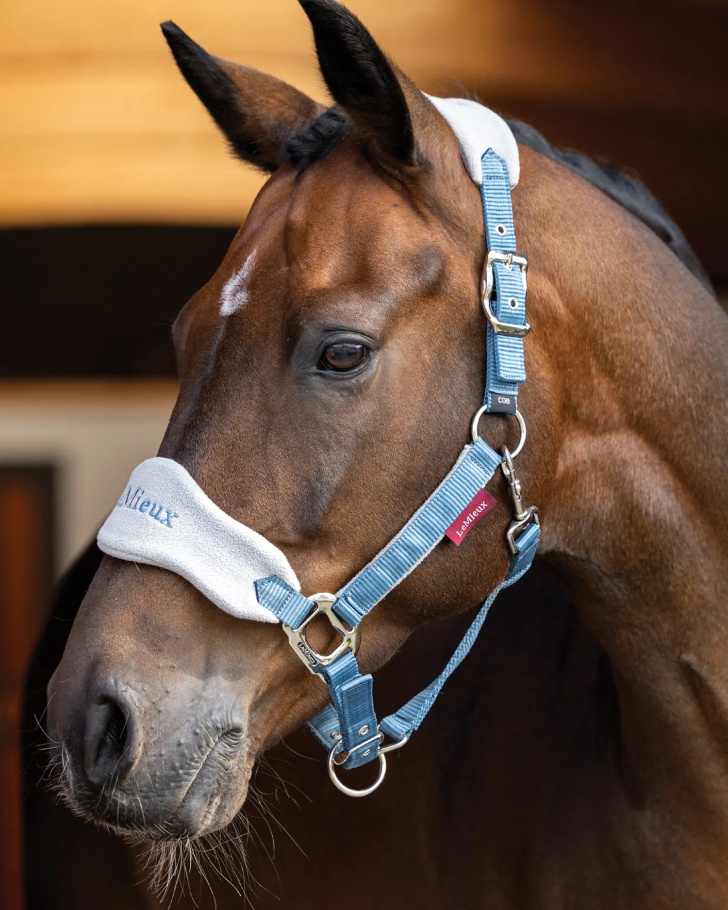 New HORSE HEALTH TRADE LeMieux® Vogue Halter & Rope Lead Set