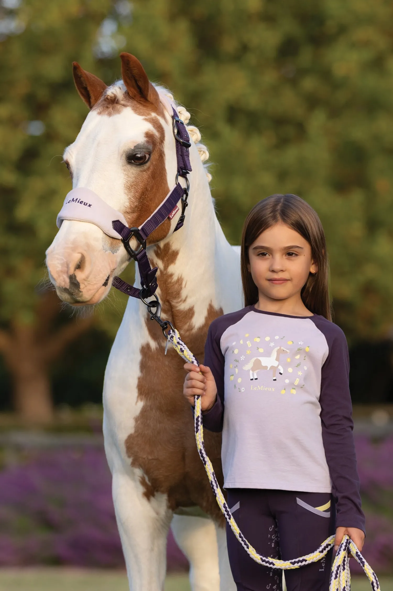 New HORSE HEALTH TRADE LeMieux® Vogue Halter And Lead