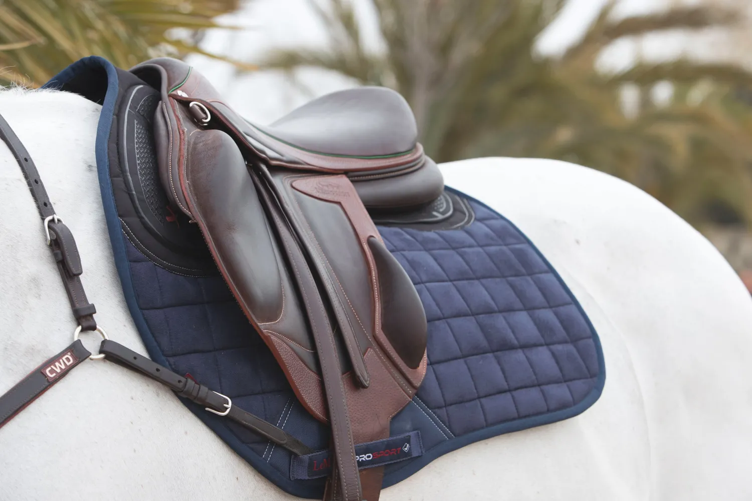 Clearance HORSE HEALTH TRADE LeMieux® X-Grip EuroJump Square Pad