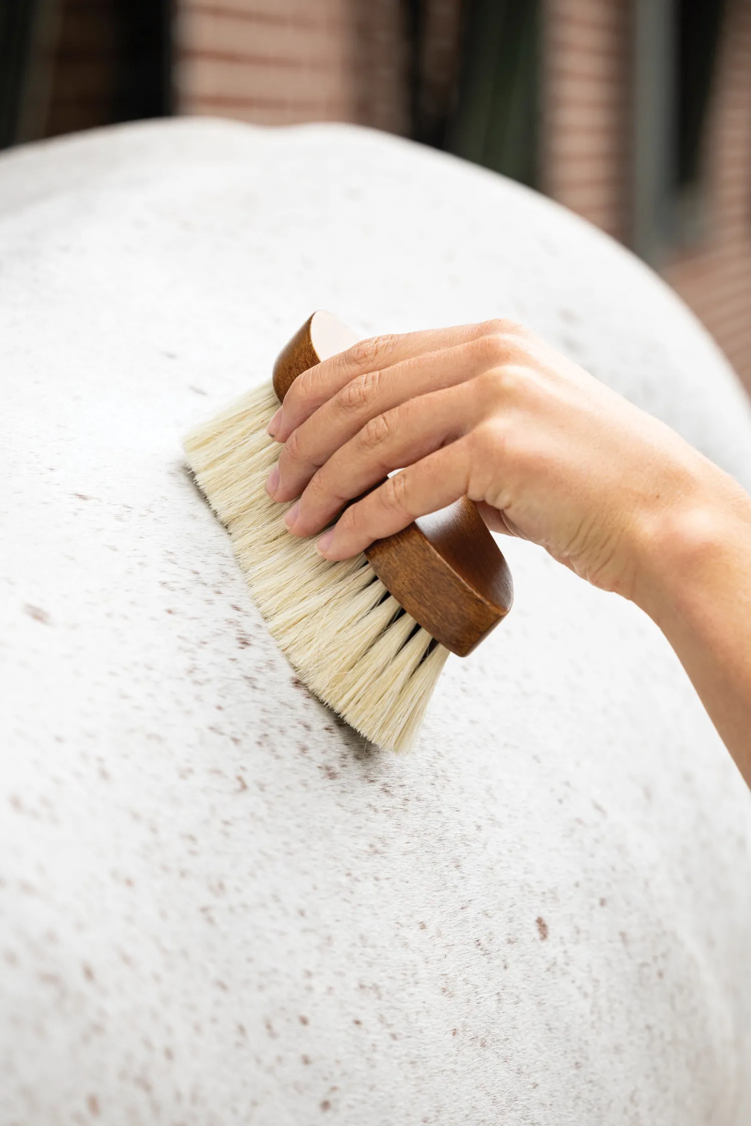 Best HORSE HEALTH TRADE LeMieux® Artisan Deep Clean Dandy Brush Brown
