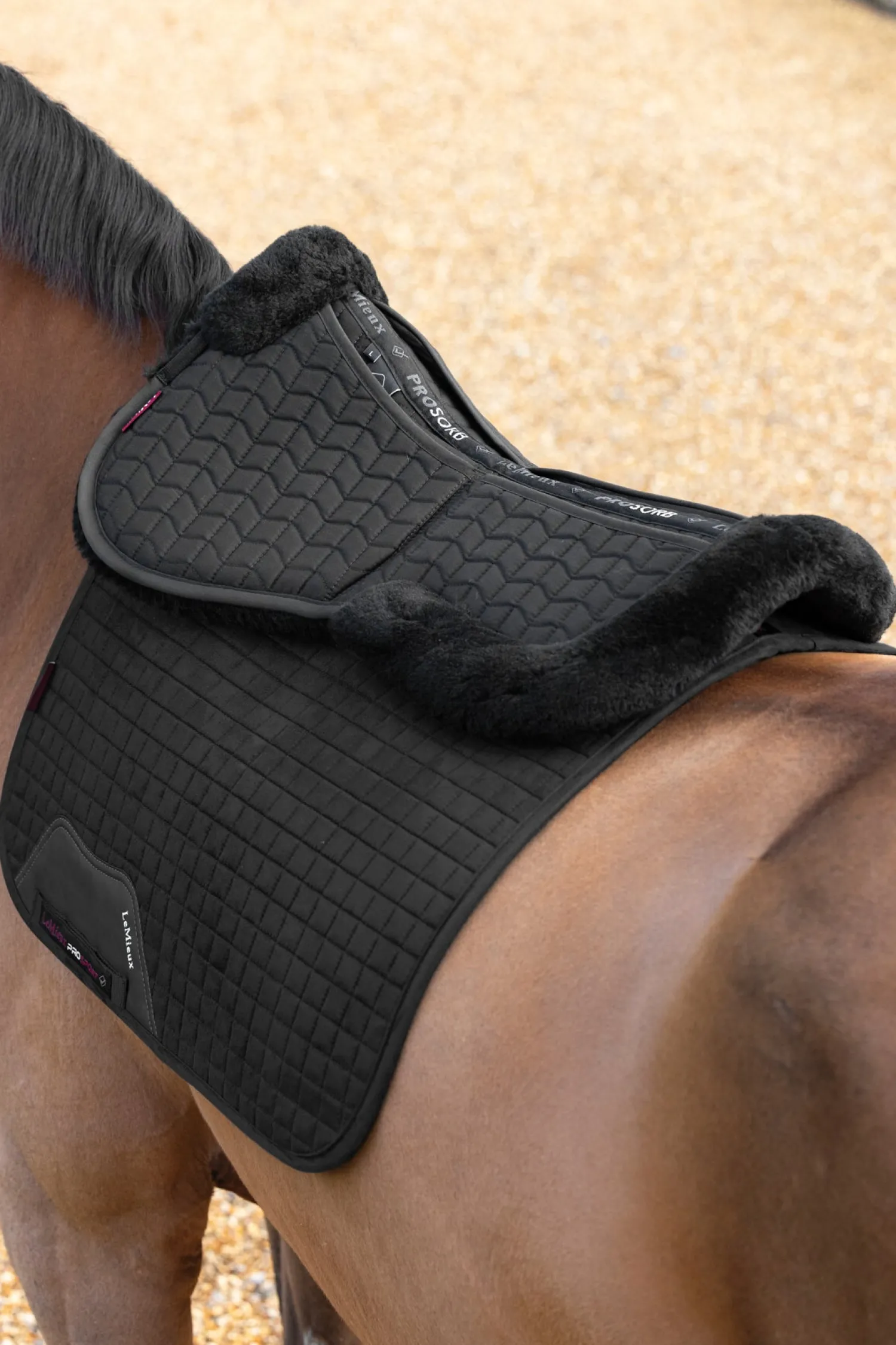 New HORSE HEALTH TRADE LeMieux® Merino+ ProSorb 2-Pocket Half Pad