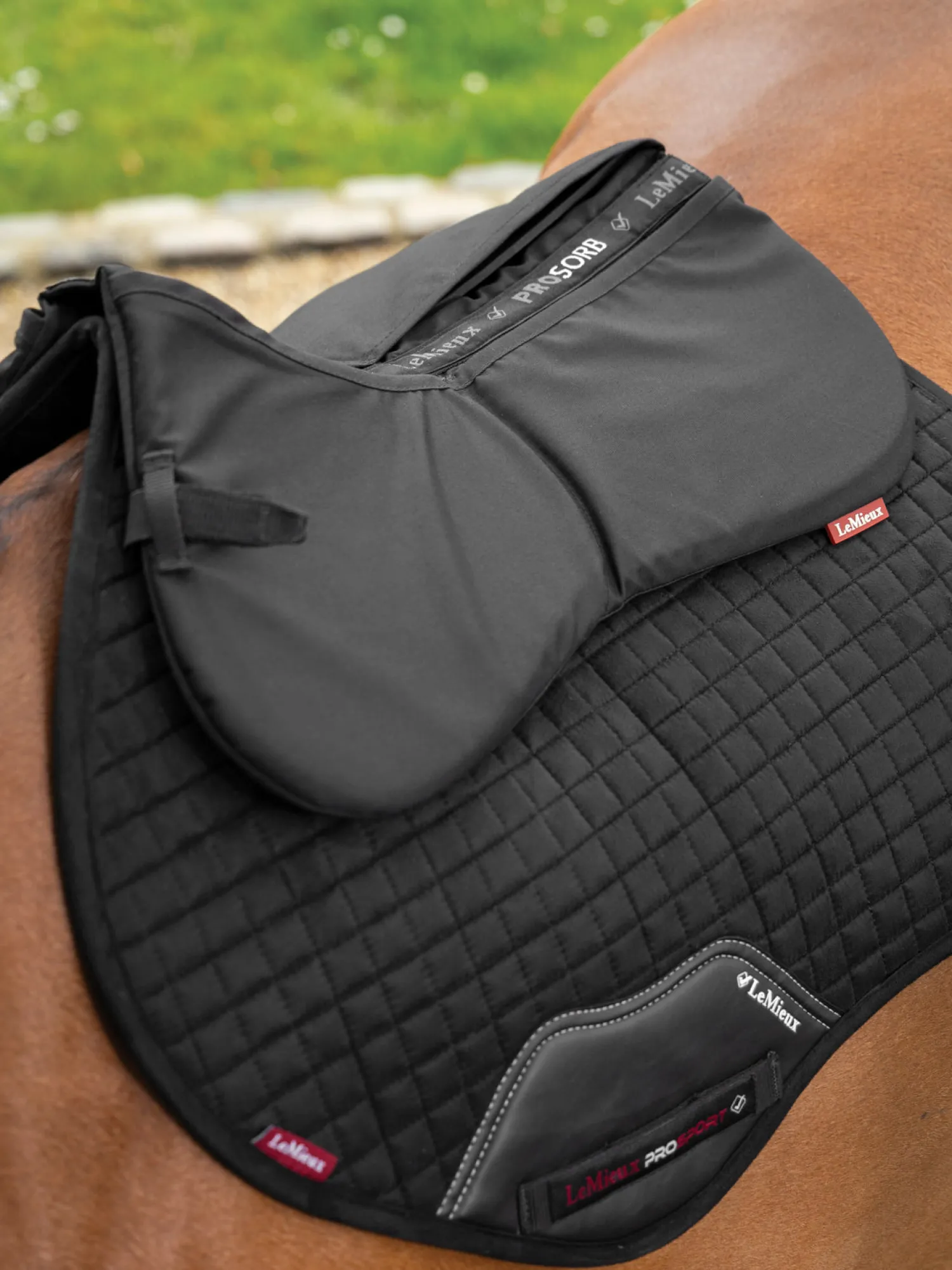 Best HORSE HEALTH TRADE LeMieux® ProSorb Plain 2-Pocket Half Pad Black