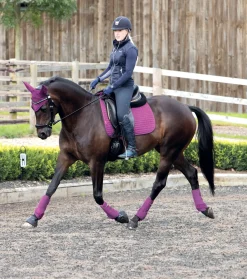 Outlet HORSE HEALTH TRADE LeMieux® Suede Dressage Square Pad