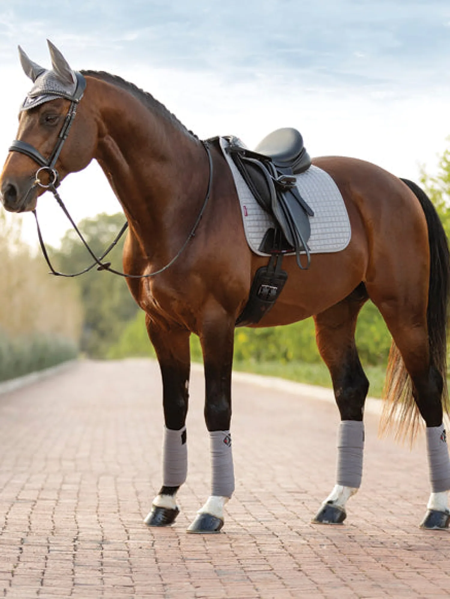 Outlet HORSE HEALTH TRADE LeMieux® Suede Dressage Square Pad