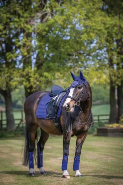 Outlet HORSE HEALTH TRADE LeMieux® Suede Dressage Square Pad