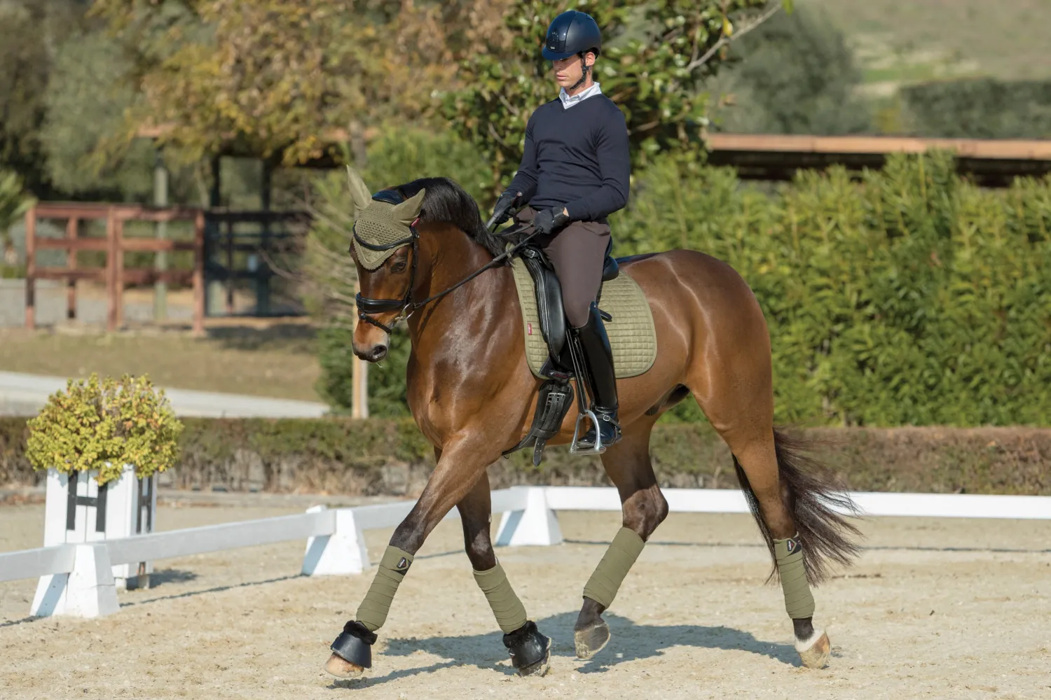 Outlet HORSE HEALTH TRADE LeMieux® Suede Dressage Square Pad