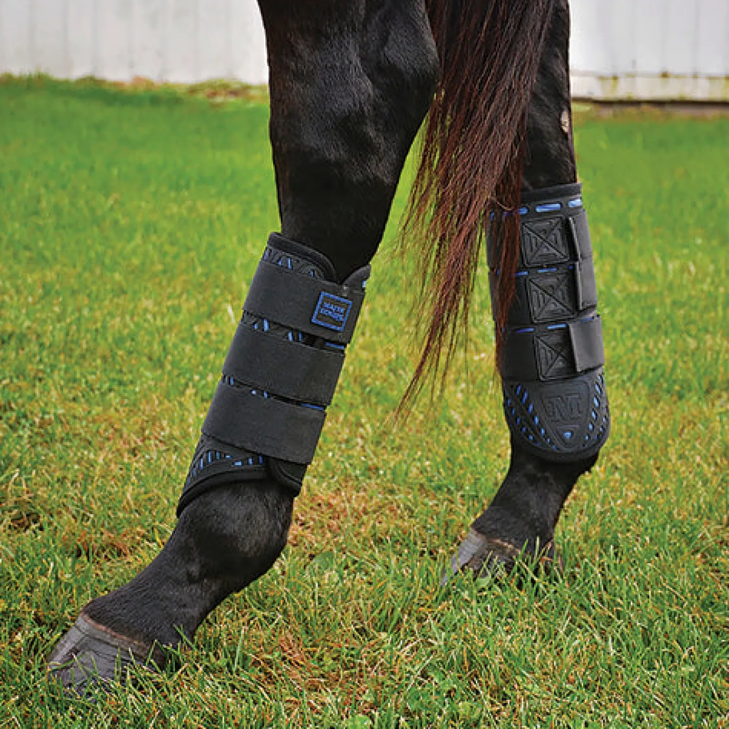 Best MAJYK EQUIPE ® XC Elite Hind Boot with Arti-Lage™ Technology