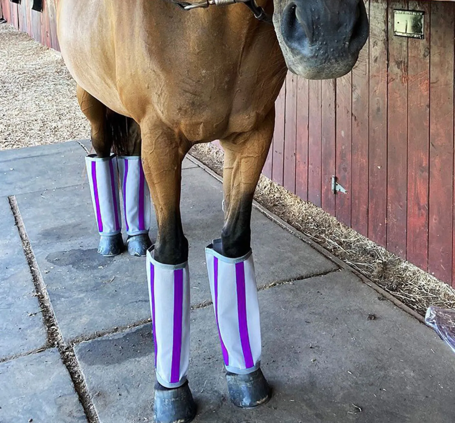MAJYK EQUIPE ®Fly-Bye Boots Pack of 4