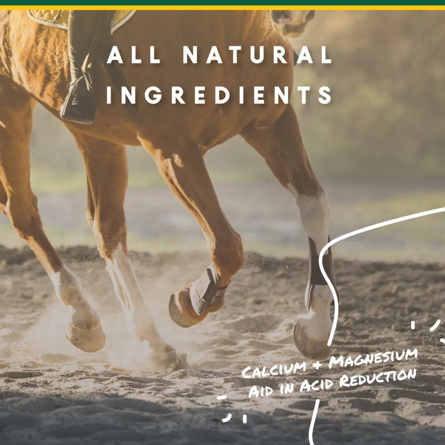 Outlet ANIMAL HEALTH INT Manna Pro® Corta-Flx® U-Gard™ Pellets, 4 Pounds