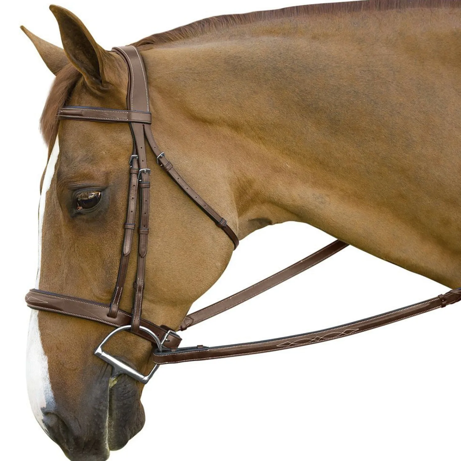 Best INT RIDING HELMET Marcel Toulouse Brunello Handy Hunter Bridle Chocolate