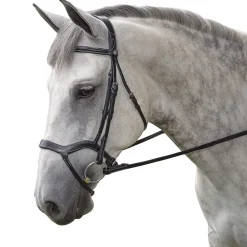 INT RIDING HELMET Marcel Toulouse Hybrid Dressage Bridle Black