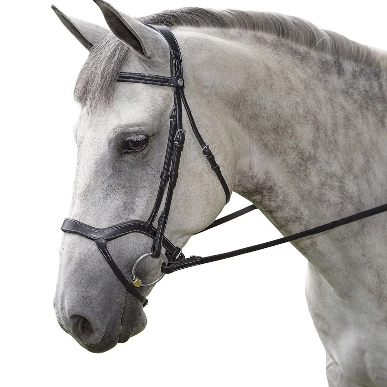 INT RIDING HELMET Marcel Toulouse Hybrid Dressage Bridle Black