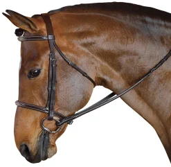 Online INT RIDING HELMET Marcel Toulouse Standard Hunter Bridle Chocolate
