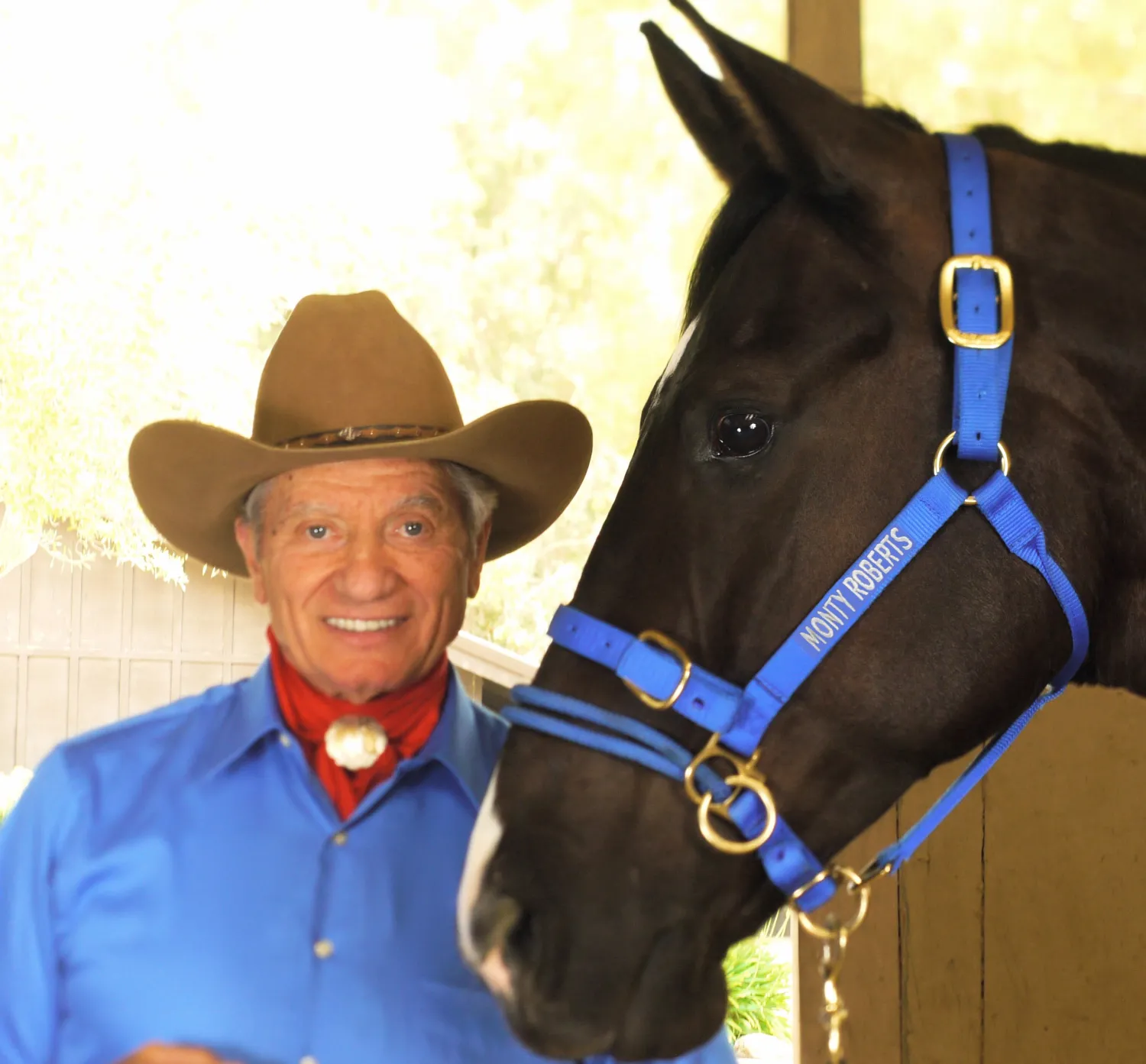 Discount MONTY N PAT ROBERTS Monty Roberts Dually™ Schooling Halter