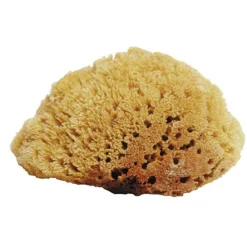 Sale JACKS MFG Natural Sea Sponges