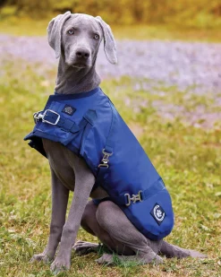 New CWEAR BRANCH NorthWind™ Dog Turnout Blanket