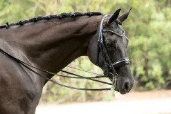 Discount OTTO SCHUMACHER Patent Venedig Double Bridle