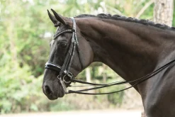 Discount OTTO SCHUMACHER Patent Venedig Double Bridle