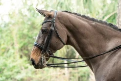 Discount OTTO SCHUMACHER Tiffany Double Bridle Black/Black