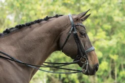 Discount OTTO SCHUMACHER Tiffany Double Bridle Black/Black