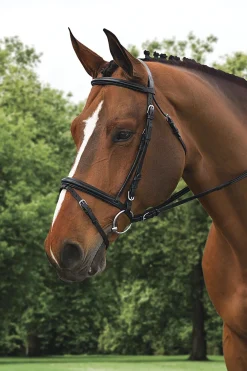Outlet ERS Ovation® Comfort Crown Dressage Bridle Black