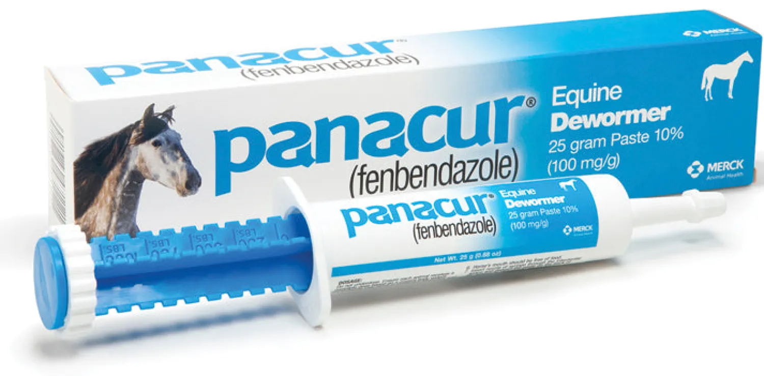 Discount ANIMAL HEALTH INT Panacur Paste Dewormer