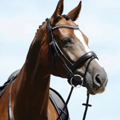 GEM-PASSIER Passier® Atlas Snaffle Bridle Black