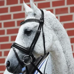 Discount GEM-PASSIER Passier® Fortuna Snaffle Bridle Black