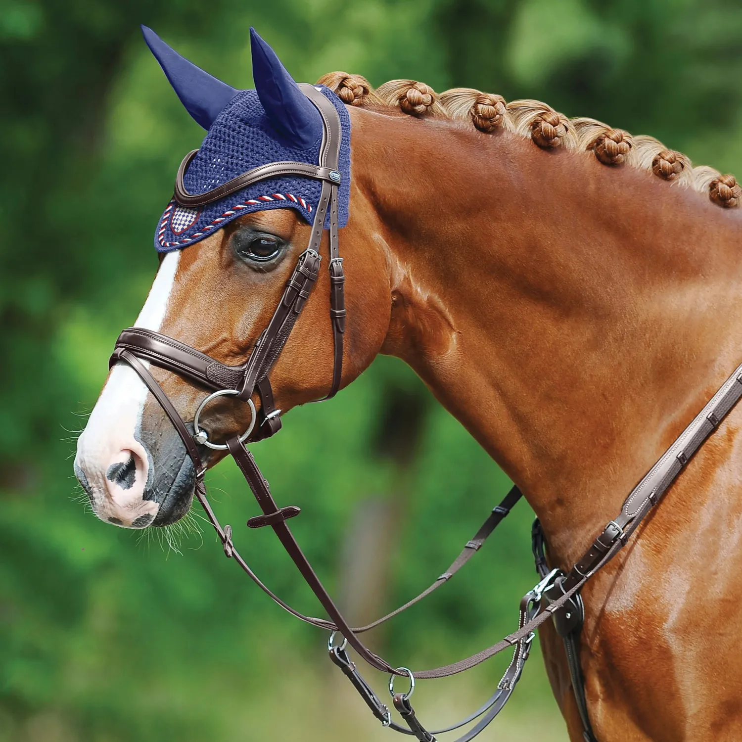 Best GEM-PASSIER Passier® Marcus Ehning II Snaffle Bridle
