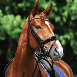 New GEM-PASSIER Passier® Starlight Snaffle Bridle Black
