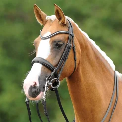 New GEM-PASSIER PassierBLU® Dream Double Bridle Black