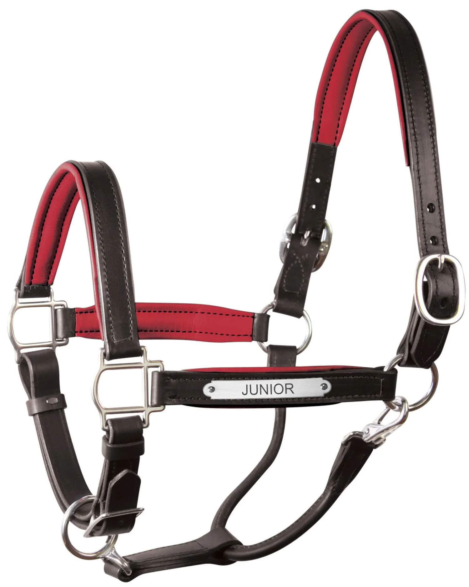 Clearance PERRIS LEATHER Perri’s® 1" Padded Leather Halter with Nameplate