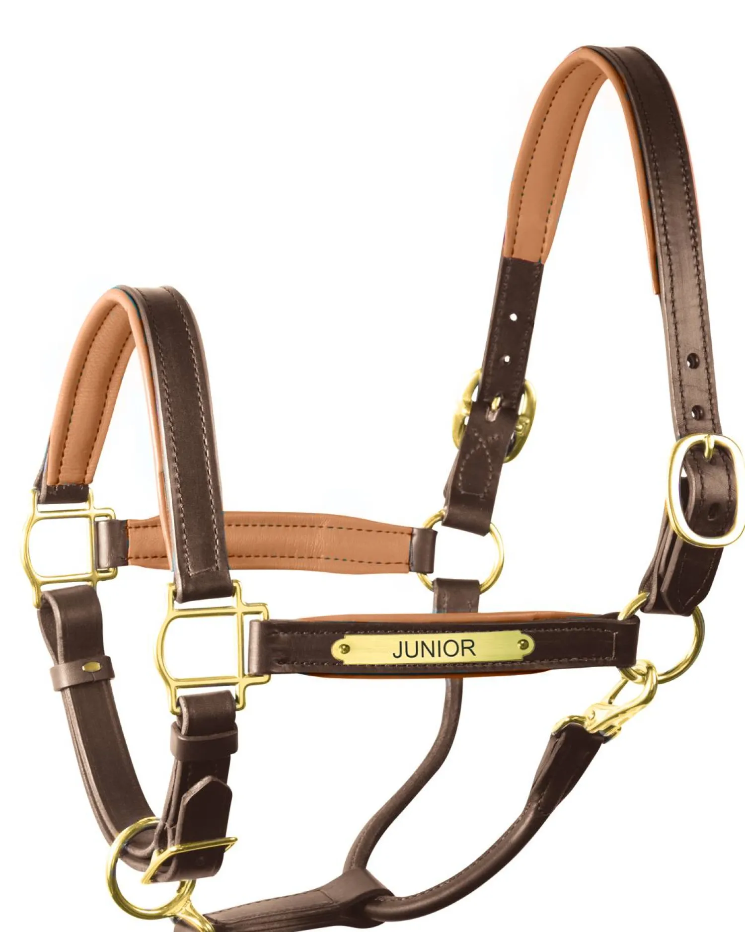 Clearance PERRIS LEATHER Perri’s® 1" Padded Leather Halter with Nameplate