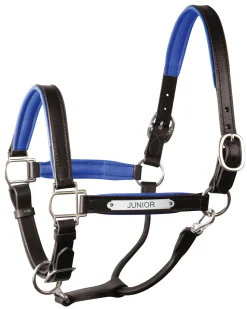 Clearance PERRIS LEATHER Perri’s® 1